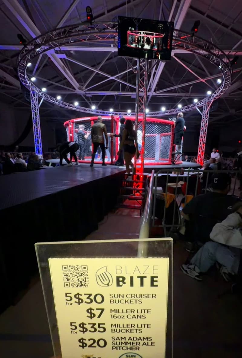 The cage and the crowd at a fight night, seen from the seats